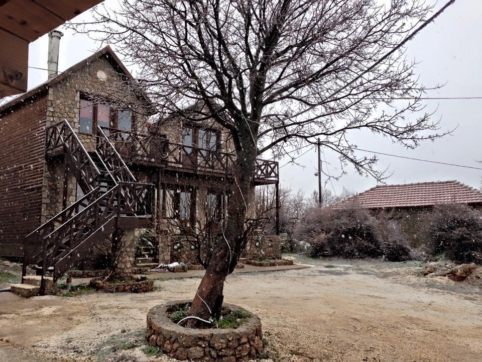 Anilia Guesthouse Synikia Mesi Trikalon Exterior foto